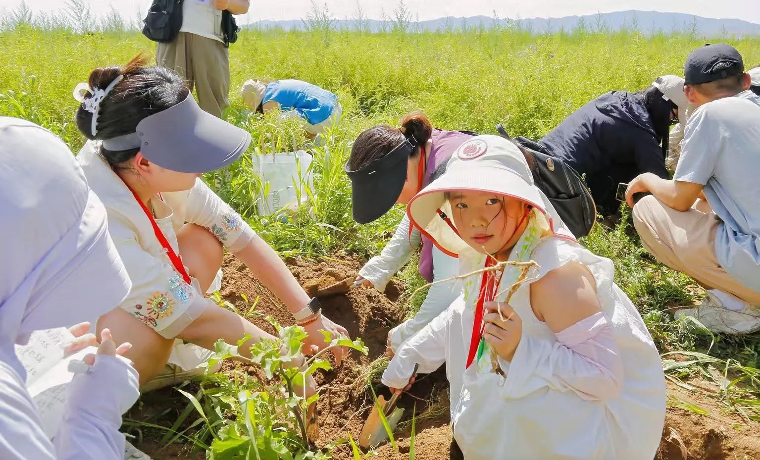 深度溯源有機品質，第二屆717龍鳳堂有機黃芪節在固陽舉辦